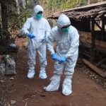 Waspada Kasus Antraks di Gunungkidul