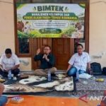 Strategi Baru Situbondo Dongkrak Produksi Sapi