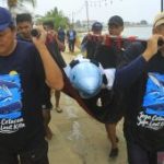 Misi Penyelamatan Mamalia Laut