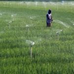 Solusi Cerdas Petani Hadapi Kemarau