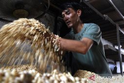 Harga Kedelai Melonjak Mendag Siapkan Subsidi