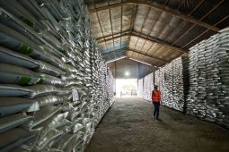 Stok Pupuk Melimpah Demi Ketahanan Pangan