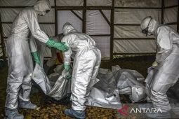 Krisis Ebola di Kongo Memakan Ribuan Korban